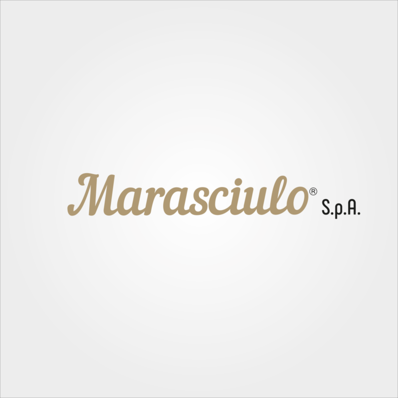 MARSEGLIA GROUP SPA